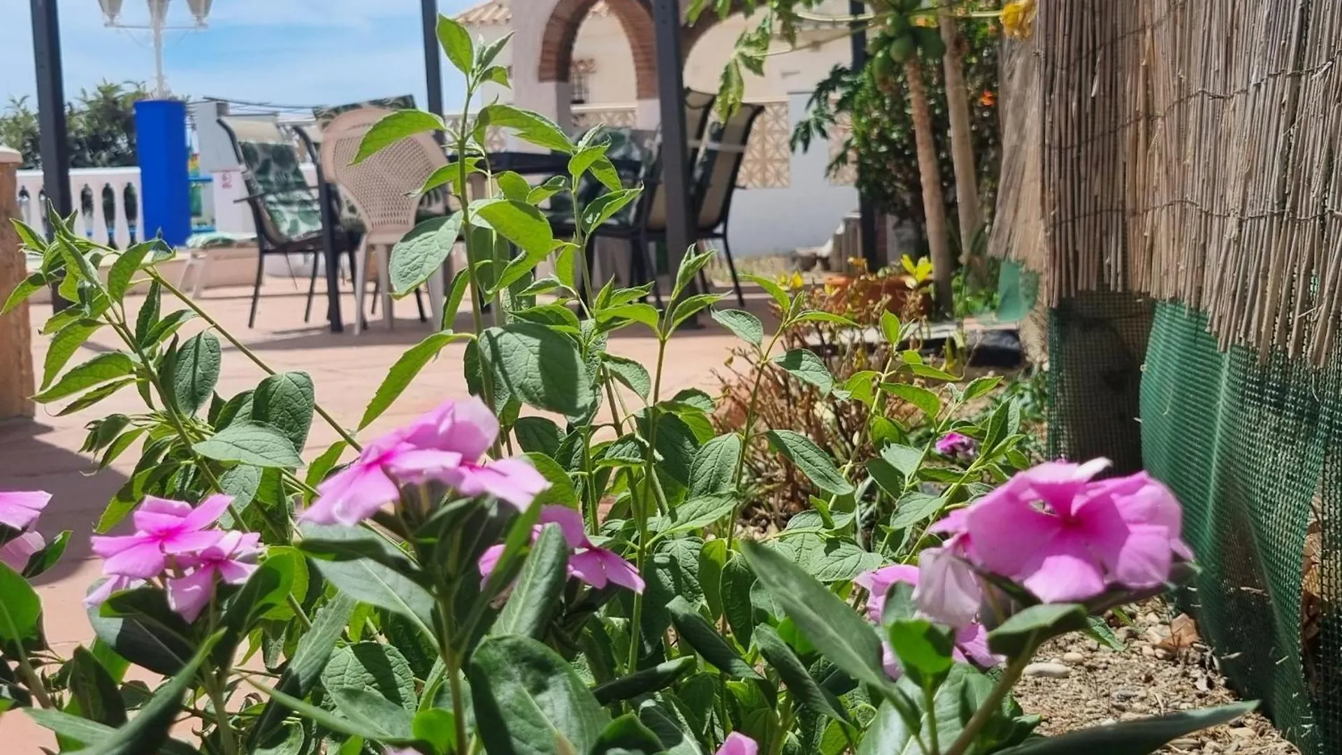 Casa Los Llanos Torrox